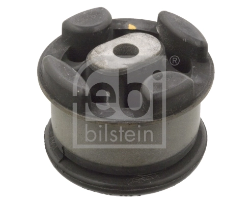Mounting, transfer case